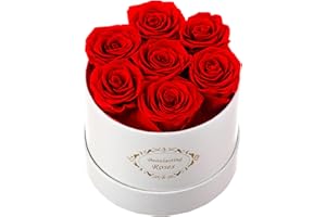 BEAULASTING ROSES Beaulasting Long Lasting Preserved Roses in a Box Last a Year Forever Flowers for Her Mom Wife Anniversary Birthday (Round White Box)
