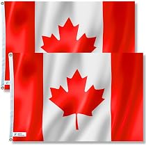 Bandiera Saskatchewan Canada 3x5 Piedi - Provincia Canadese - Per Interno/Esterno - Foto 2