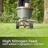 Garden Lawncare Guy Dark Green Lawn Feed High Nitrogen Fertiliser 90 Days view 6