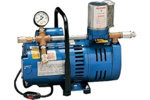 Allegro Industries 9821 Model A‐750 Ambient Air Pump, 3/4 hp Motor, 2-Worker