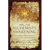 2020: the Alchemists' Awakening Volume One: Decoding the ancient future of consciousness, claim your power and authenticity, choose freedom over fear, portalism, awakening the alchemist, initiation