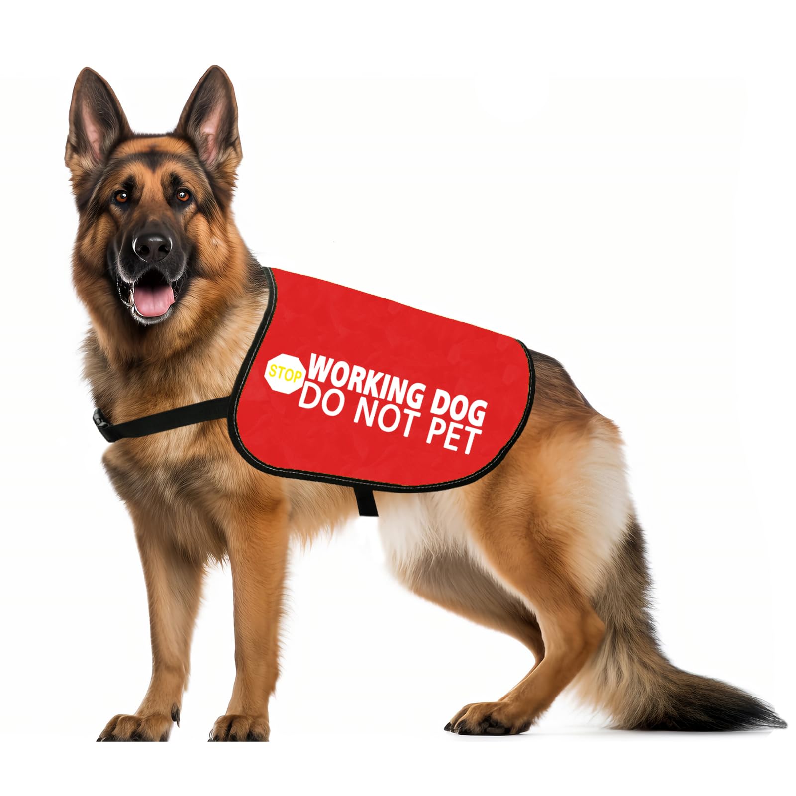 Nervous Dog Jacket Vest Service Dog Working Dog Do Not Pet Anxious Dogs Scared Dogs Slogan Warning Vest (Working not pet M)