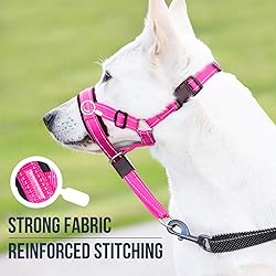 GoodBoy Dog Head Halter with Safety Strap - Stops