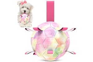 QDAN Dog Balls, Dog Soccer Ball with Straps, Puppy Toy Balls for Small Medium Dogs, Dogs Water Toys Pool Toys, Puppy Pet Birthday Gifts, Rainbow（6 Inch）