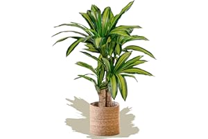 Maia Shop Dracaena Artificial Plant 4FT Tall, Fake Plant with Realistic Leaves, Dragon Tree, Faux Silk Plant Made with The Best Materials, Artificial Plants Indoor, Home Decor Plants, 47 inches