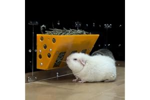 GuineaLoft™ Hay Feeder (Yellow) - Ultimate Hay Feeder for Small Pets Like Guinea Pigs, Rabbits & Chinchillas. Designed & Made by Seasoned Owners Who Tried Everything Out There - GuineaLoft Exclusive