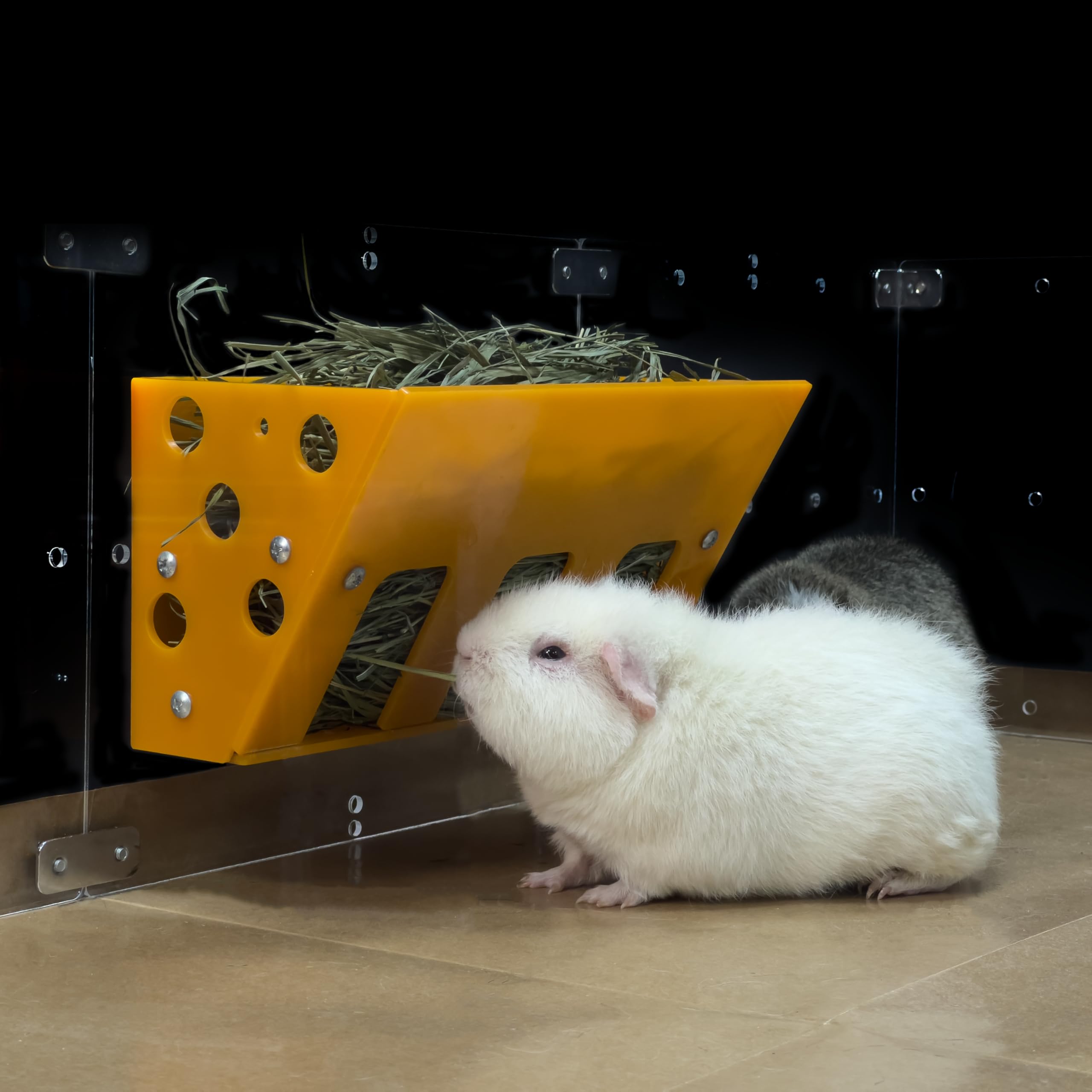 GuineaLoft™ Hay Feeder (Yellow) - Ultimate Hay Feeder for Small Pets Like Guinea Pigs, Rabbits & Chinchillas. Designed & Made by Seasoned Owners Who Tried Everything Out There - GuineaLoft Exclusive