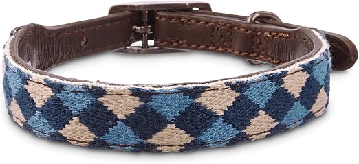 bond and co dog collar