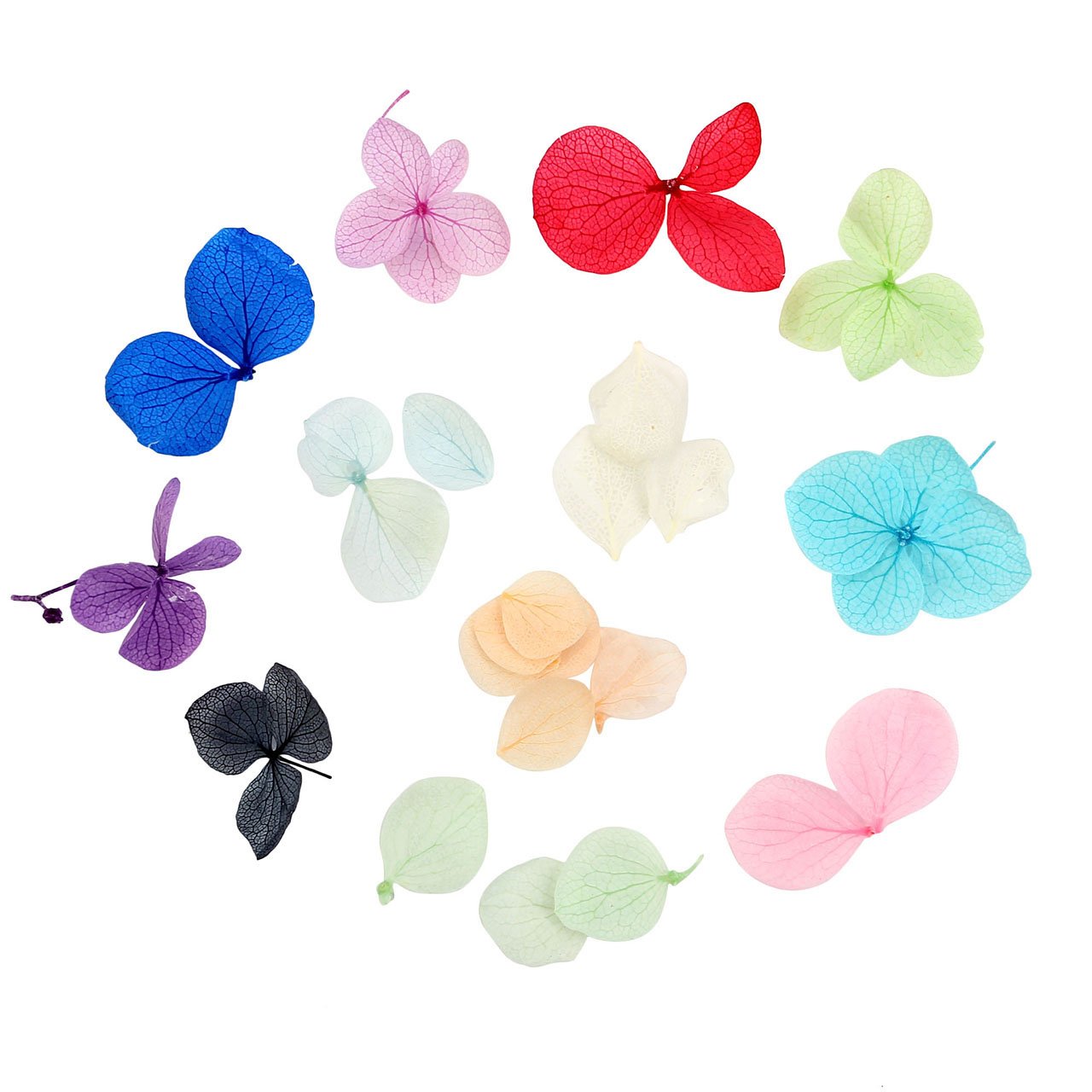 CCbeauty 2-Packs 12Colors Natural Real Dry Flower Sticker Decals Nail Art Decorations Kit 3D