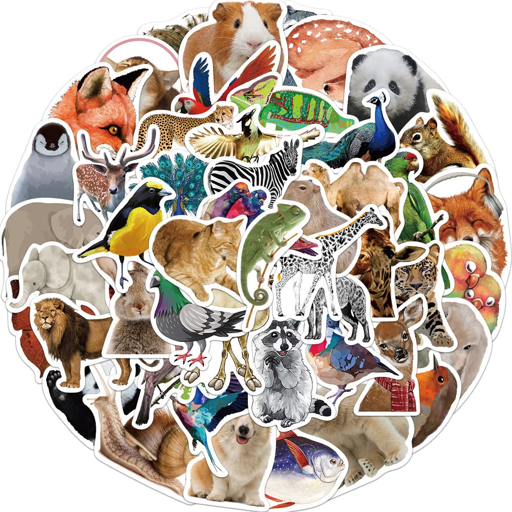 Affoto Zoos Stickers (50 PCS), Gift for Children Teens Adults, Waterproof Vinyl PVC, Realistic Animals, Cartoon Style, Stickers for Laptop, Water Bottle, Skateboard, Bike, Phone, Dairy