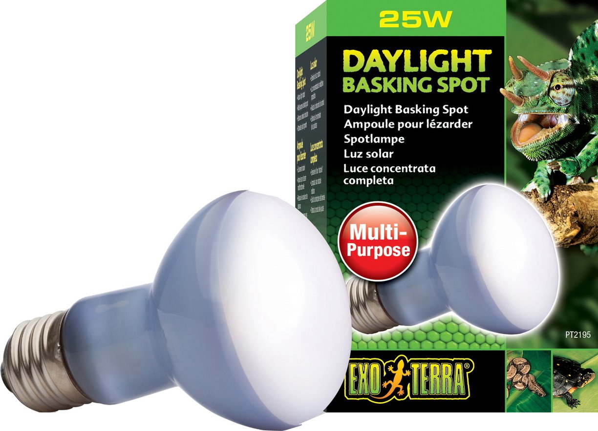 Exo Terra Daylight Basking Spot Bulb 25 W, Metallic