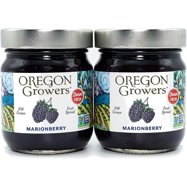 Amazon.com: Dickinson's Seedless Blackberry Preserves, 10 oz