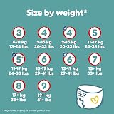 Pampers Baby-Dry Nappy Pants Size 8 117 Nappies 17kg+ 360° Fit Monthly Pack view 7
