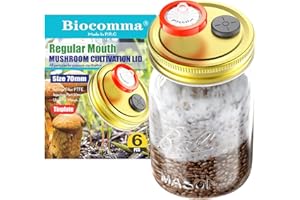 Biocomma 6Pcs Liquid Culture Lid Grain Spawn Cultivation Mason Jar Lid with 0.22um PTFE Syringe Filter & 20mm Self Healing Injection Ports For Mushroom Growing Mycology (Rejular Mouth (Golden))