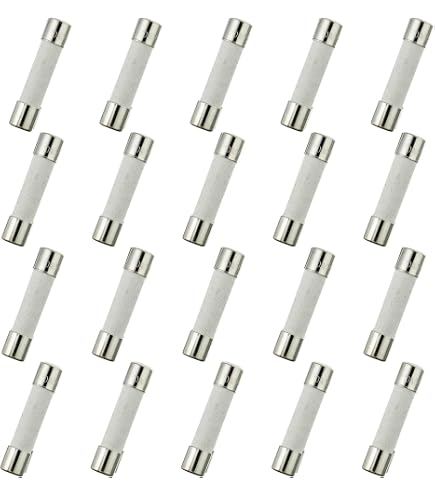 Pack Of 5, 6X30mm  1/4 Inch X 1-1/4 Inch  250mA 250v Glass Fuses Fast Blow Quick Blow Fast Acting 250 Amp 250ma 250m F0 25a