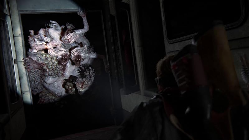 The Last Of Us Parte II (Remasterizado)