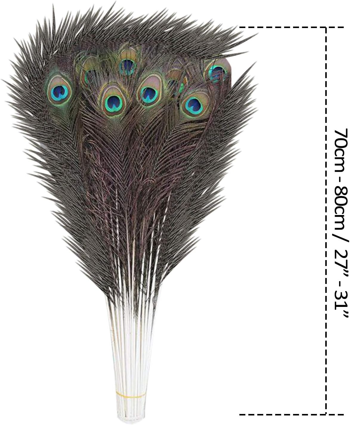 Trimming Shop Real Peacock Feather 27 inches - Image 3