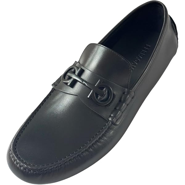 Amazon.com | Salvatore Ferragamo Newton Men display picture 1