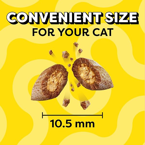 TEMPTATIONS CLASSIC CRUNCHY AND SOFT CAT TREATS SAVORY SALMON FLAVOR, 3 OZ. POUCH