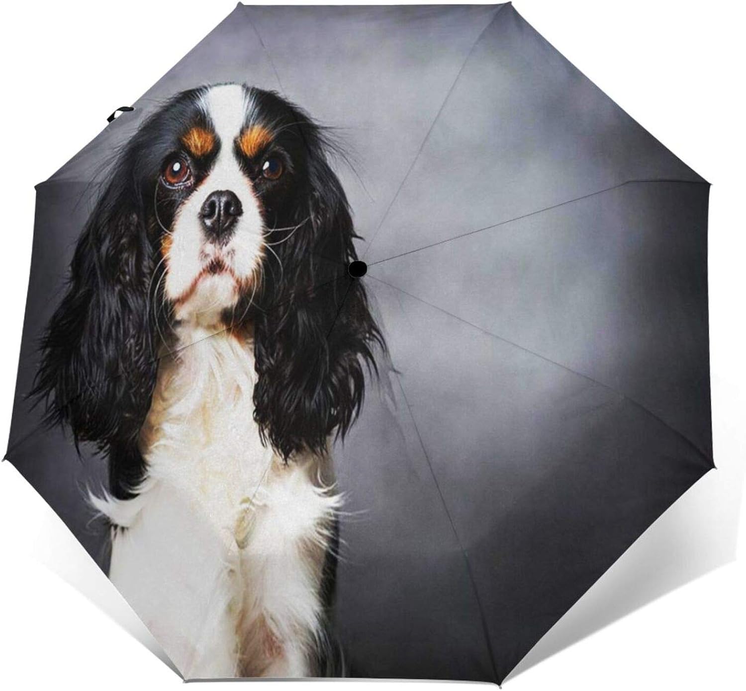 Windproof Travel Folding Umbrella Automatic Dog, Large Rain Folding