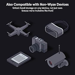 Wyze Expandable Storage 32GB MicroSDHC Card Class