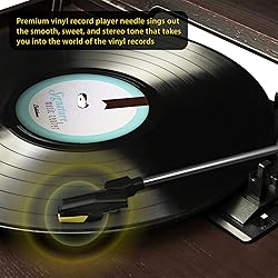 Vinyl Record Player Needles - Zentect Upgraded