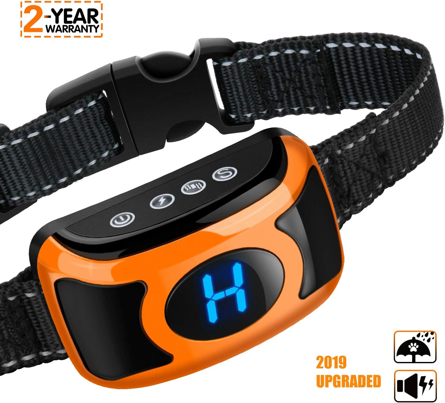 female golden lab mix