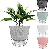 HYNZ 6-Inch Self-Watering Plant Pot with Visual Reservoir and Drainage Hole, Set of 5, Plastic Flower Pots, Planting Pot for Indoor Outdoor Plants (Frosted Mixed Color)