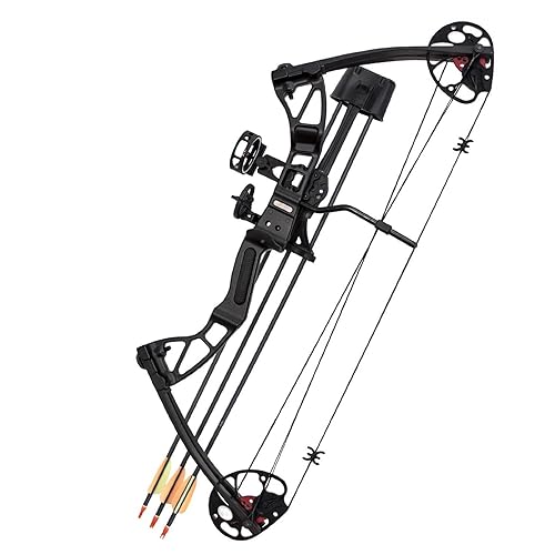Best Compound Bow for the Money 2019 Reviews and Tips