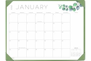 Desk Calendar 2025 - KOPEESY 22" x 17" Large Desk Pad Calendar with Desktop Mat - 18 Month Desk Top Calendar From January 2025 to June 2026 - Green Plants
