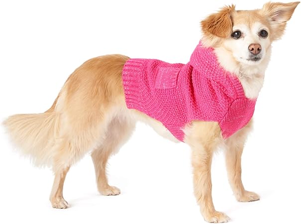 friends forever dog jacket