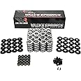 BTR Brian Tooley Racing LS Dual Valve Spring Kit (.660" Lift) with Steel Retainers -Fits LS1 LS2 LS3 LS4 LS6 L76 L92 L99 LQ4 LQ9 L33 LSA