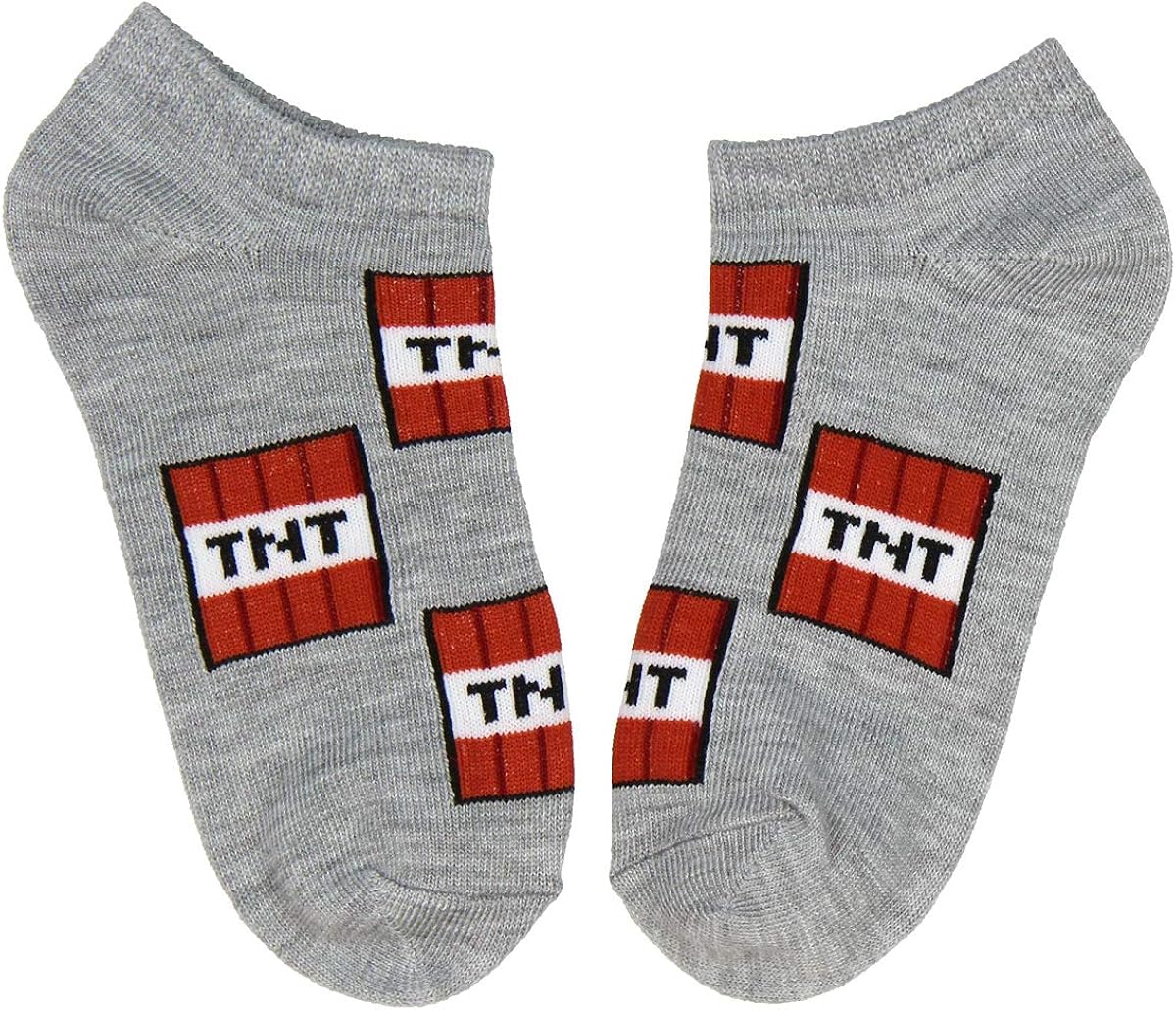 Minecraft Kids Classic Heros And Monsters 5PK No Show Socks (4/6): Clothing