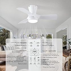 Dalouguan 31 inch Low Profile Ceiling Fans with