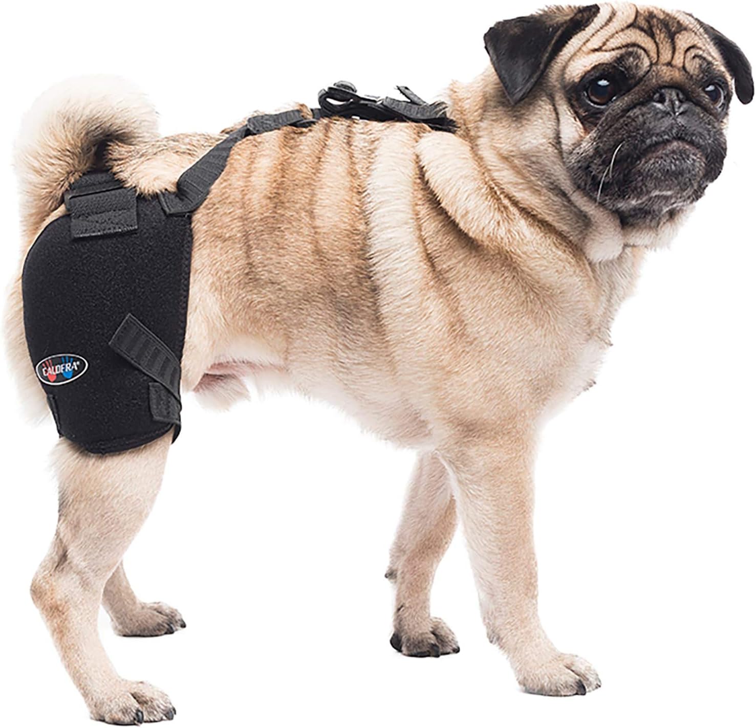 CalderaInternational Pet Therapy Hip Wrap with Gel, Small, Black