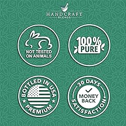 Handcraft Blends Eucalyptus Essential Oil – Huge
