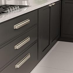 Richelieu Hardware BP8716320195 Torino Collection