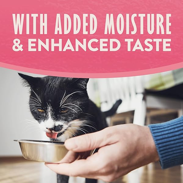 NATURAL BALANCE LIMITED INGREDIENT SPLIT CUP SALMON & SWEET POTATO SOFT PATE WET CAT FOOD RECIPE FOR SENSITIVE STOMACHS AND FOR HEALTHY DIGESTION, 2.6 OZ.