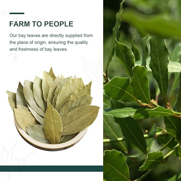 SOEOS BAY LEAVES, 2OZ (57G), WHOLE DRIED BAY LEAF, NON-GMO VERIFIED, LAUREL HERBS FOR COOKING, SOUPS, STEWS, SAUCES, SEASONING