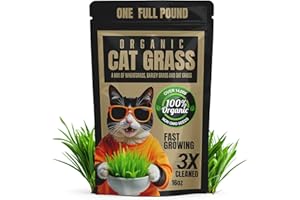 ANVEVO Organic Cat Grass | Non-GMO Mixed Heirloom Seeds | Wheatgrass, Oat, Barley Blend (16oz)