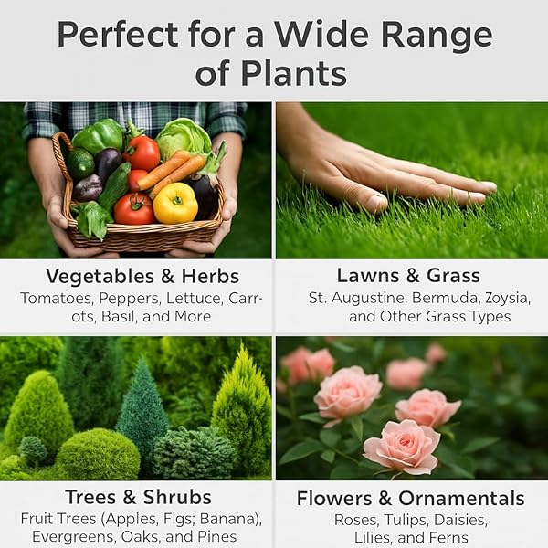 𝐁𝐄𝐒𝐓𝐒𝐄𝐋𝐋𝐄𝐑 10-10-10 PLANT FERTILIZER SLOW RELEASE | 10 10 10 ALL PURPOSE FERTILIZER FOR FRUIT TREES, EVERGREENS, VEGETABLES, ARBORVITAE, FIG TREES, SHRUBS, PINES, OAKS, FLOWERS [1 QUART]