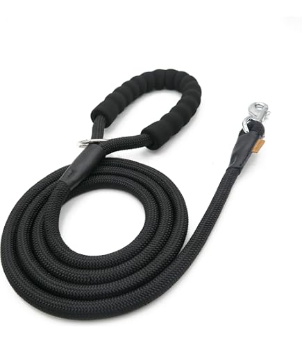 20 ft dog training leash 20' Biothane Long Training Leash – The Classy Canine main image 1