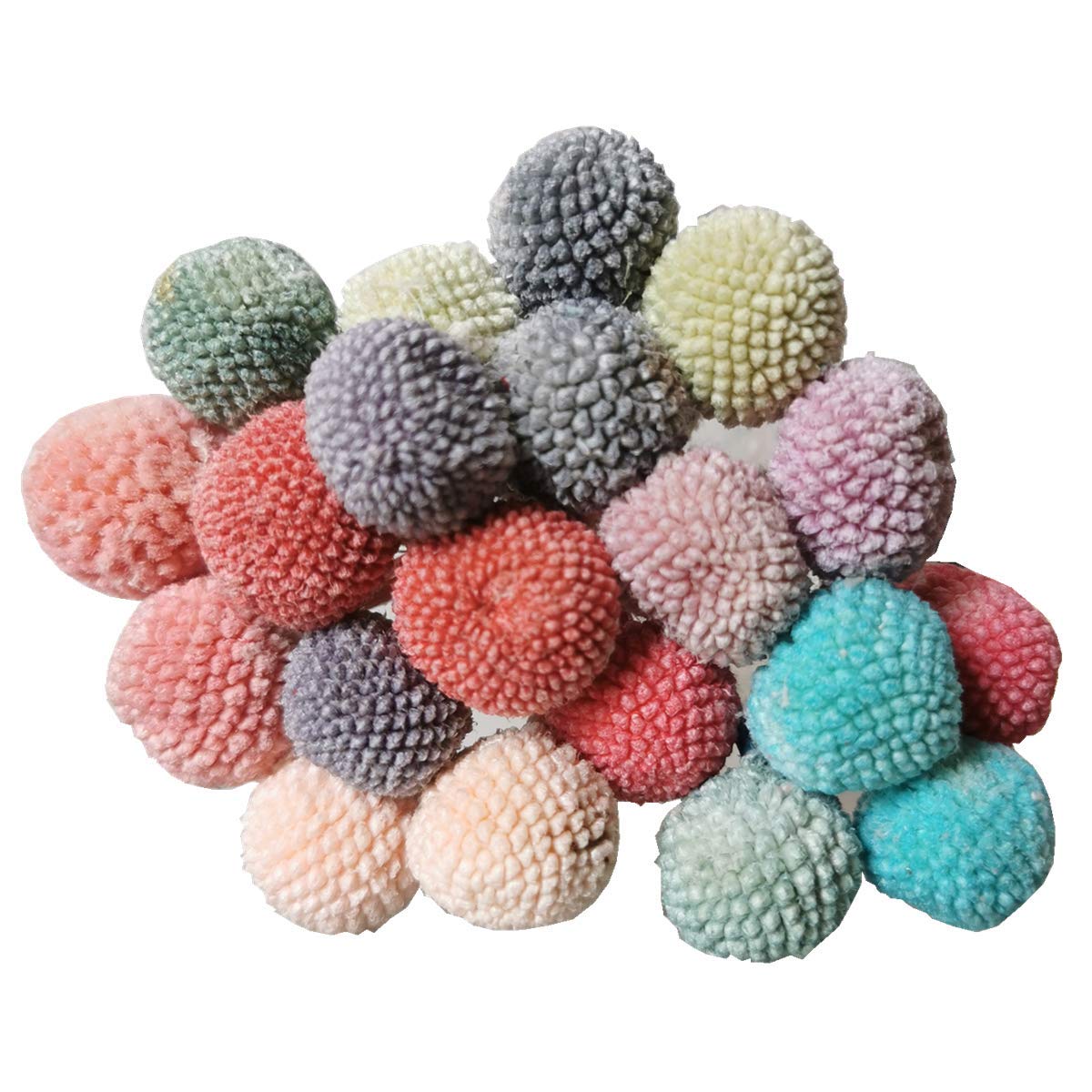 INVISIKAYAK Craspedia globosa Material Flower Immortal Eternal Flowers Gift — image 1