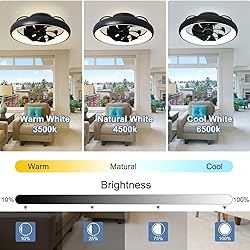 DLLT 20'' 360-Degree Rotation Ceiling Fan with