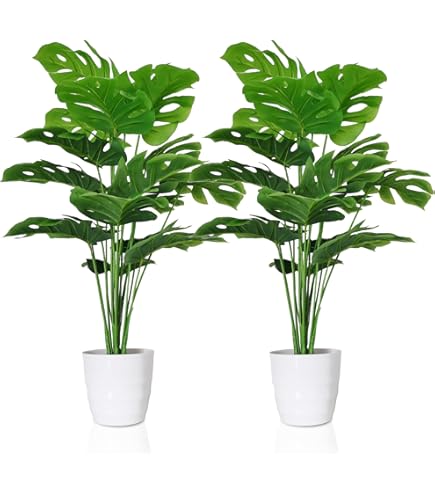 Amazon.com: SilksAreForever 29" Artificial Split Philodendron Monstera Leaf  Stem -Black (Pack of 12) : Home & Kitchen