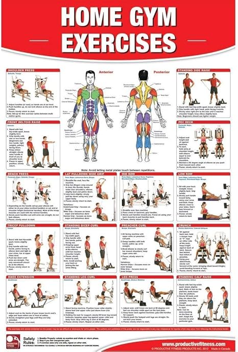 Aptitud productiva productos Fitness ejercicios gimnasio en casa ...