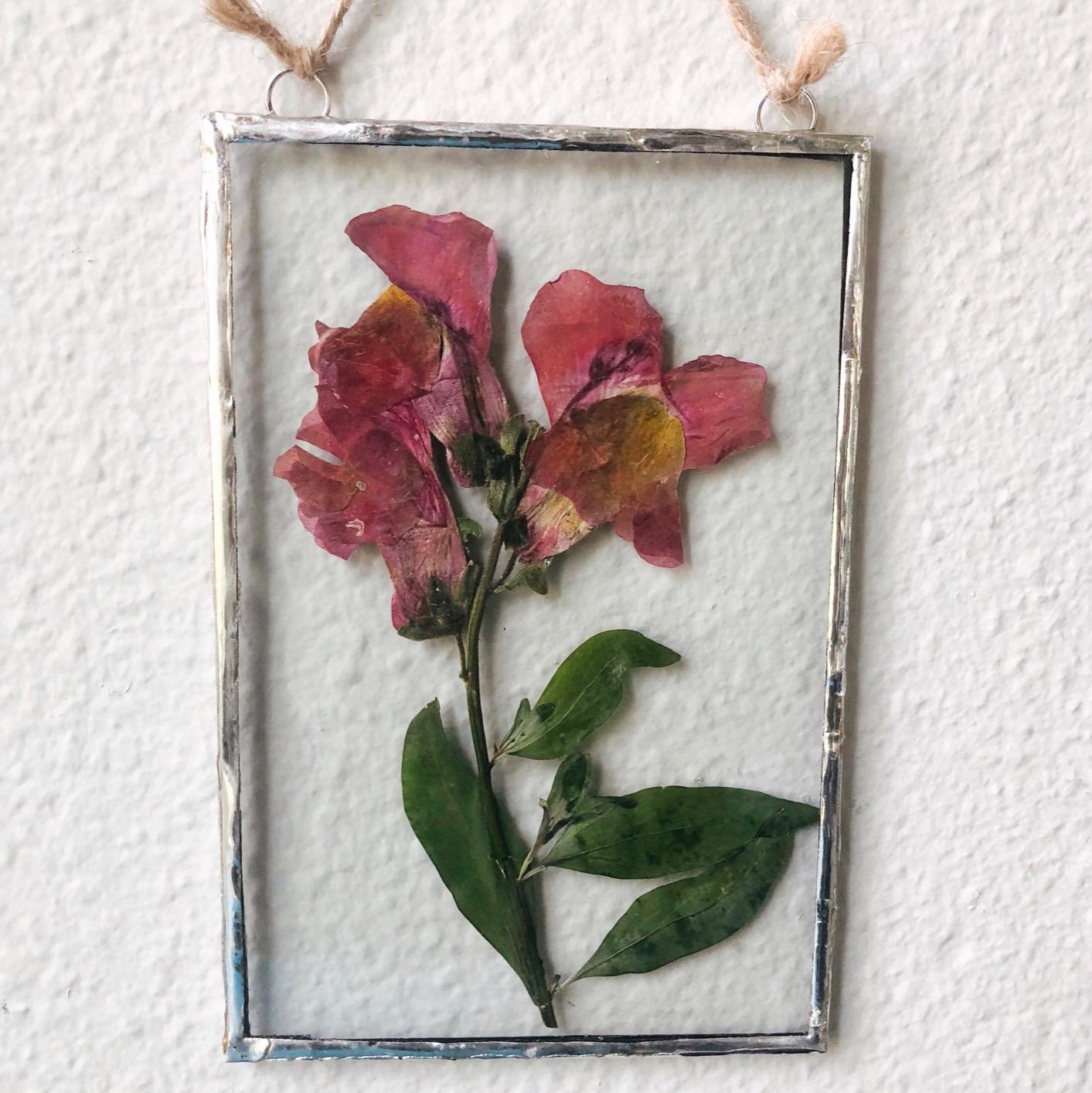 boiler diary Catastrophic microwave flower press kit Is Relative size virtue