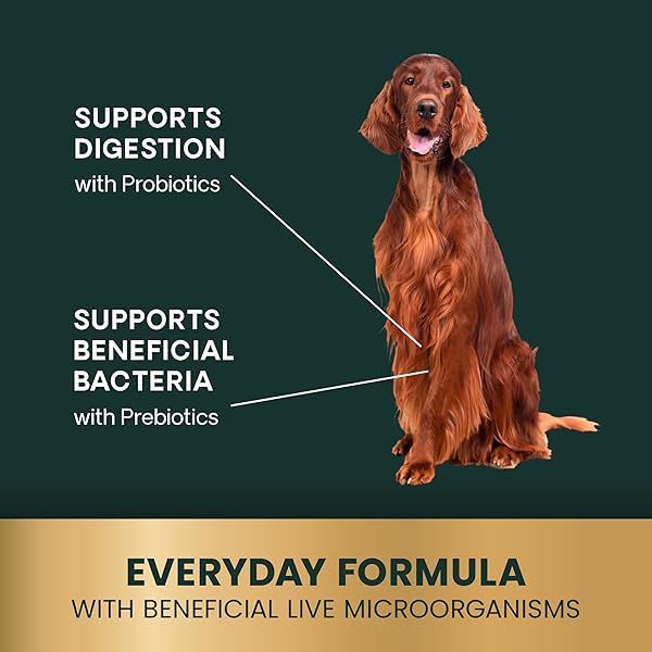VETRISCIENCE GUT HEALTH CHEWS, PROBIOTIC EVERYDAY DIGESTIVE SUPPLEMENT FOR DOGS, PET PROBIOTICS FOR DIGESTION SUPPORT, GAS AND DIARRHEA, IMMUNE SUPPORT, 1 BILLION CFU PER CHEW, DUCK, 120 COUNT