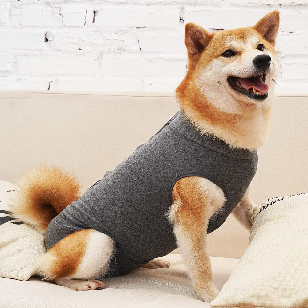 LIANZIMAU Dog Recovery Suit Neuter Onesie Breathable Surgical Abdominal Wounds And Skin Protector Anti Licking Cone E Collar Alternative After Surgery Wear L Grey - Image 3