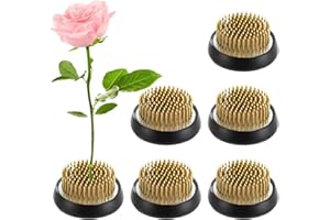 CDOKY 6 PCS Flower Frogs, 2.1 Inches Round Brass Flower Holders, Japanese Ikebana Vase Floral Frogs, Flower Arranger, Flower Fixed Tools Pins for Flower Arrangement Home DIY Craft
